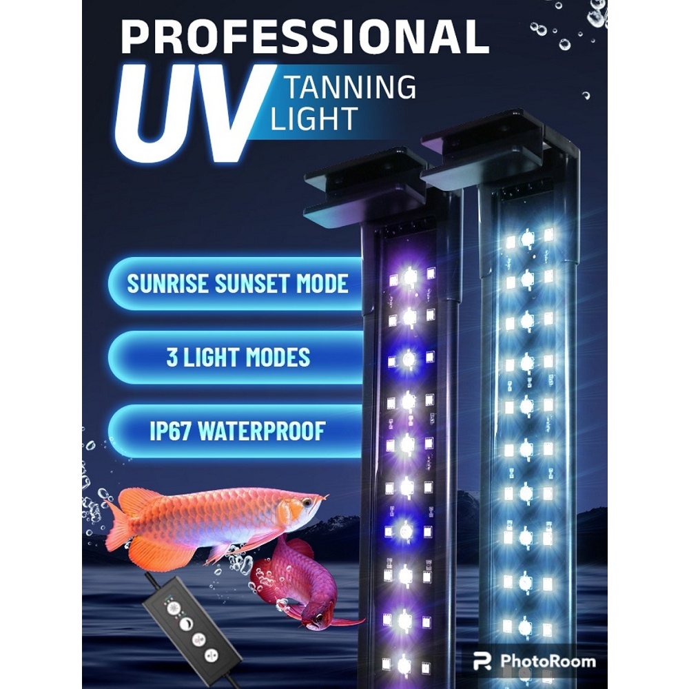 Đèn Led Xanh UV Chuyên Tanning Cá Rồng Ultra Magic Led | Shopee Việt Nam
