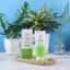 Combo 10 tuýt kem chống nắng daily suncream/ Dr lady/ nâng tone kiềm dầu/ date 2026/ tuýt 60ml (Giá sỉ)