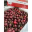 GIAO NHANH HCM - CHERRY MỸ NHẬP KHẨU