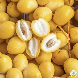 ( JENNY FRUIT )  ( HỎA TỐC ) Chà là tươi hàng thái nhập ngọt giòn