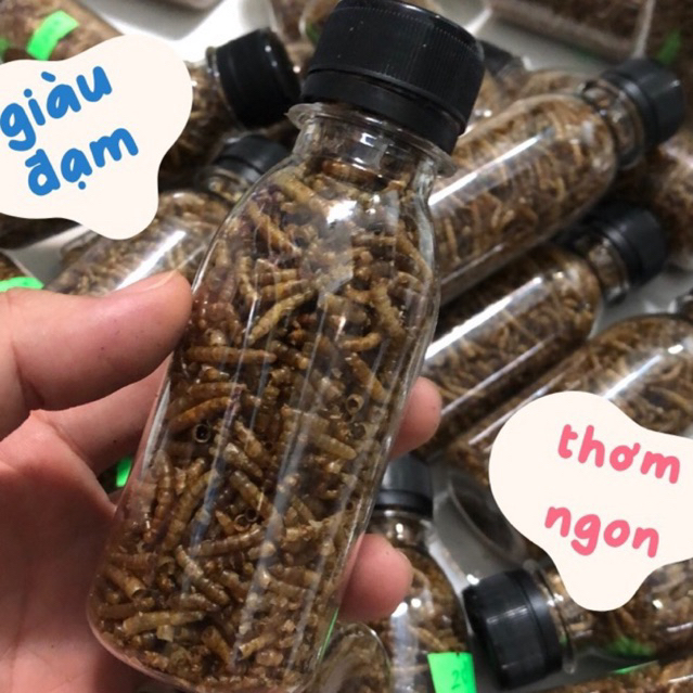 Đồ ăn SÂU SẤY cung cấp đạm cho ốc rụt rè, ốc mượn hồn, cua ẩn sỉ ...