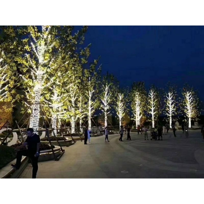 Dây Led Quấn Cây, Dây Led Đúc F5 , Dây led trang trí, 1 dây dài 3m gồm 50 mắt, Dây Đèn Chống Nước