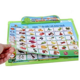 Bảng Chữ Cái Điện Tử 5 Tờ 11 Chủ Đề Cho Bé - Bảng Chữ Cái Luyện Nghe Nói Cho Bé Từ 1-5 Tuổi Tiện Lợi
