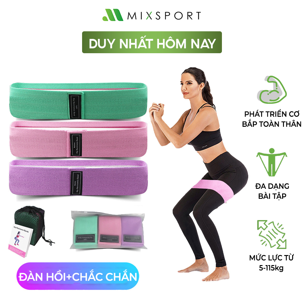 Ảnh Dây Kháng Lực Vải MiniBand Siêu Co Giãn Hỗ Trợ Tập Mông Đùi Hiệu Quả MixSport DTH01 1