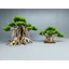 Cây gỗ lũa Bonsai tán Tùng cho hồ nhỏ [Hồ cá từ 20 đến 50cm]]