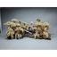 Gỗ lũa bonsai cho hồ thủy sinh [Layout cầu, bậc lên]