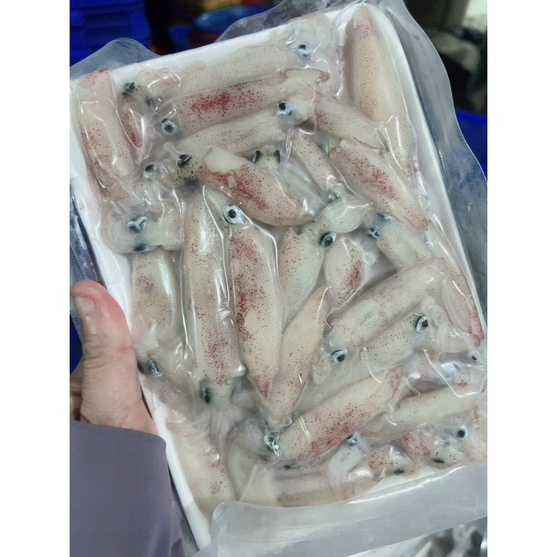 Mực sữa mini tươi ngon 1kg (giao tphcm) | Shopee Việt Nam