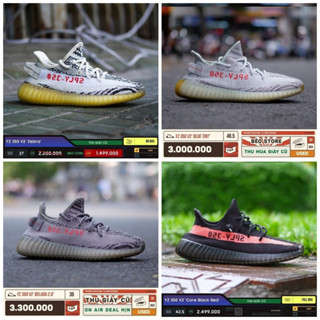 Yeezy blue tint on sale giá