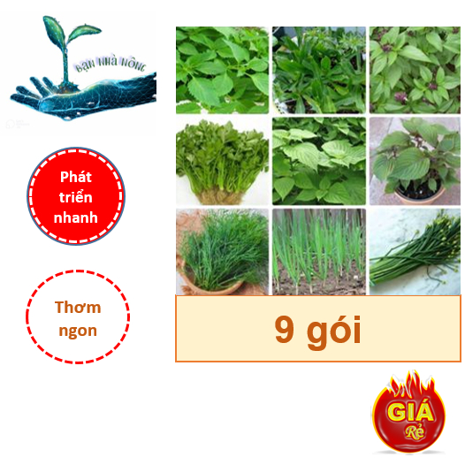 Combo 9 gói hạt giống rau thơm ( Thơm ngon - Phát triển tốt, Năng suất ...