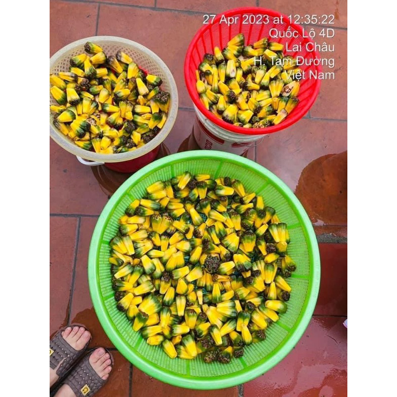 Quả Dứa Dại (Dứa Rừng) Loại 1 (Khô, Sạch, Thơm) 1kg