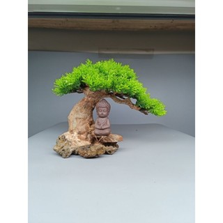 Gỗ lũa bonsai tán tùng dành cho bể cá cảnh, mẫu Đức Phật, Tô Ngộ Không ngồi thiền.