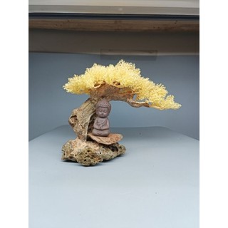 Gỗ lũa bonsai tán tùng dành cho bể cá cảnh, mẫu Đức Phật, Tô Ngộ Không ngồi thiền.