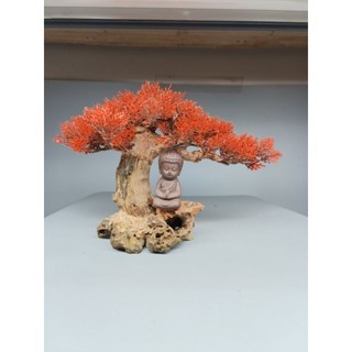 Gỗ lũa bonsai tán tùng dành cho bể cá cảnh, mẫu Đức Phật, Tô Ngộ Không ngồi thiền.