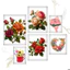 Hình ủi, Hình Ép Nhiệt ROSE- Hoa Hồng 26