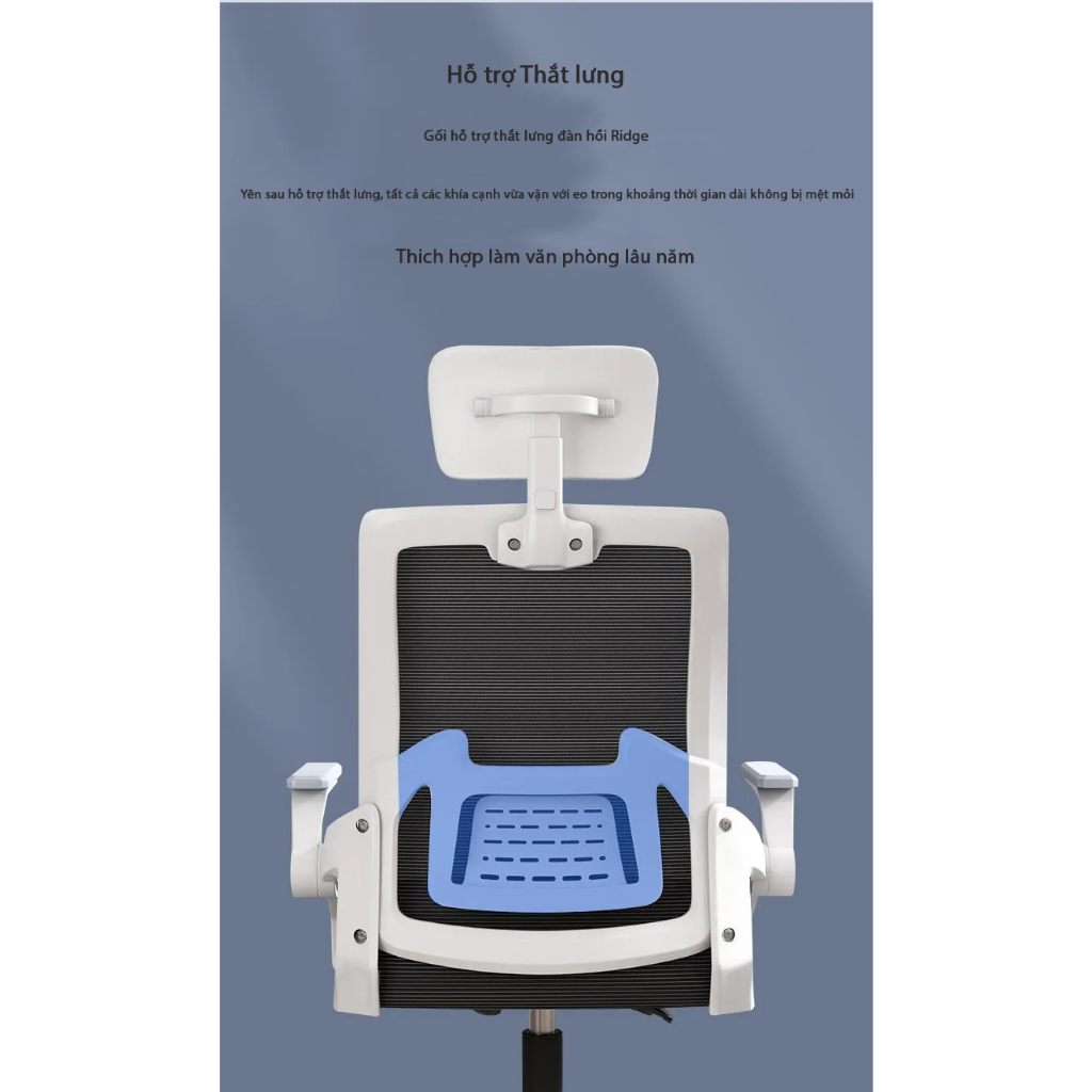 Ghế Xoay văn phòng Công thái học bảo vệ cột sống Thương hiệu VEGOR LIFE OFFICIAL - CTH TS04 | BigBuy360 - bigbuy360.vn