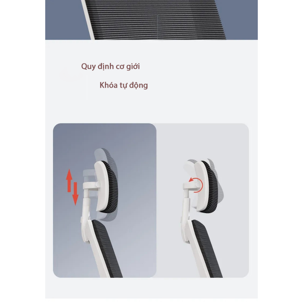Ghế Xoay văn phòng Công thái học bảo vệ cột sống Thương hiệu VEGOR LIFE OFFICIAL - CTH TS04 | BigBuy360 - bigbuy360.vn