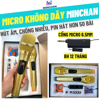 Micro Karaoke Không Dây AT 116, Sử Dụng Cho Loa Kéo, Vang, Amply, Lọc Bỏ Tạp Âm, Chống Hú, Rè, Giúp Âm Thanh Mượt Mà