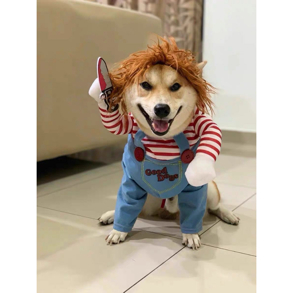 ÁO CHÓ MÈO COSPLAY HÓA TRANG HALLOWEEN | Shopee Việt Nam