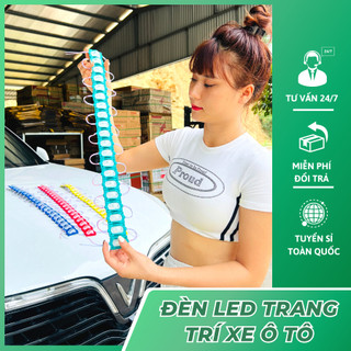 Đèn led hắt trang trí ga lăng, sườn xe các màu có thể cắt dời từng mắt 12v 24v loại mắt trâu