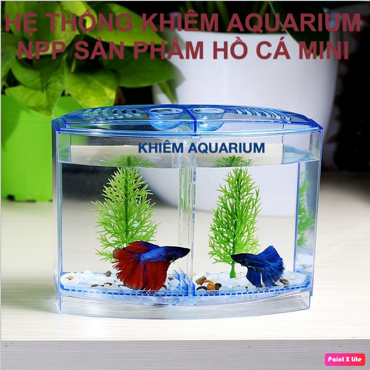 Bể Cá Betta Mini - Hồ Cá Mini Để Bàn Bằng Nhựa Cao Cấp 1& 2 Ngăn ...
