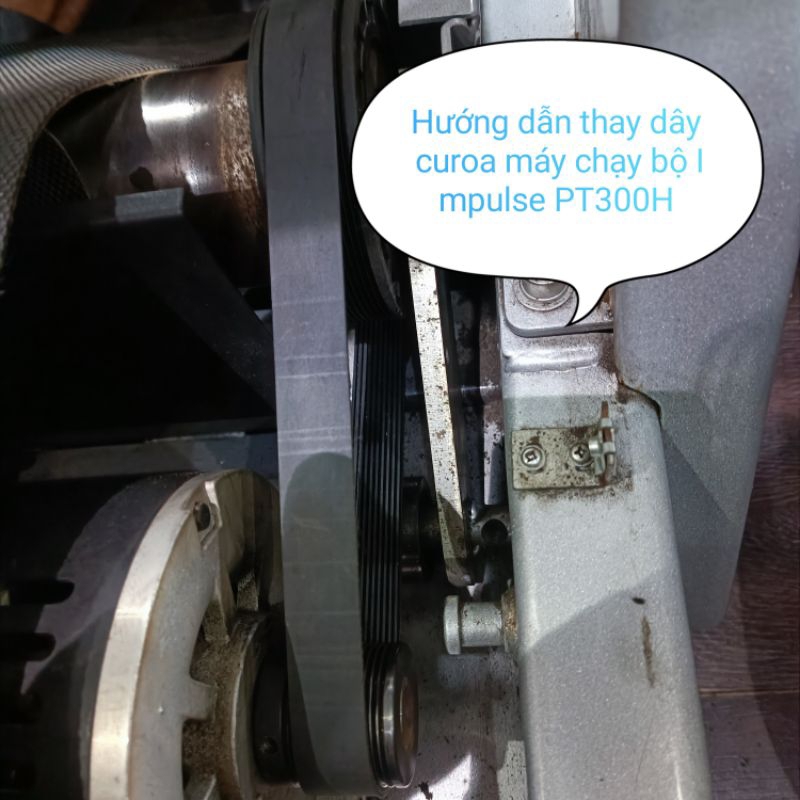 Dây curoa máy chạy bộ Impulse,dây curoa máy chạy bộ