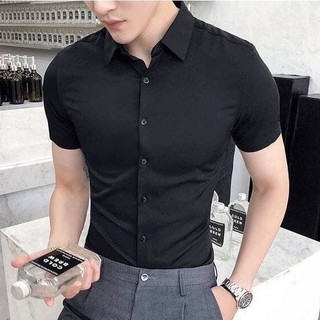 Áo Sơ Mi Nam Tay Ngắn Cộc Tay Hàn Quốc Dáng Ôm Vải Lụa Chống Nhăn Chống Xù Thoáng Mát Avocado