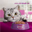 Pate Whiskas Cho Mèo Gói 80g Cung Cấp Dinh Dưỡng Và Vitamin - KIKINO
