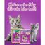 Pate Whiskas Cho Mèo Gói 80g Cung Cấp Dinh Dưỡng Và Vitamin - KIKINO