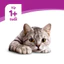 Pate Whiskas Cho Mèo Gói 80g Cung Cấp Dinh Dưỡng Và Vitamin - KIKINO