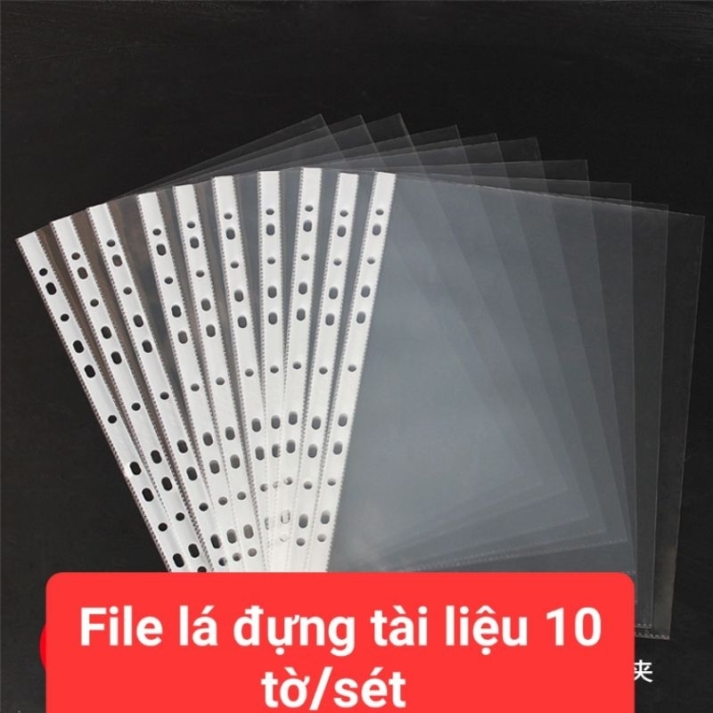 10 File Bìa Lá Trong Đục Lỗ Hàng loại 1 | Shopee Việt Nam