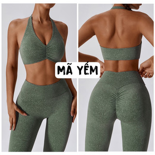 Bộ đồ tập thể thao gym,yoga nữ thiêt kế ngựa vằn cao cấp (mã lb256)