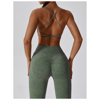 Bộ đồ tập thể thao gym,yoga nữ thiêt kế ngựa vằn cao cấp (mã lb256)