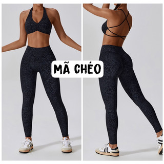 Bộ đồ tập thể thao gym,yoga nữ thiêt kế ngựa vằn cao cấp (mã lb256)