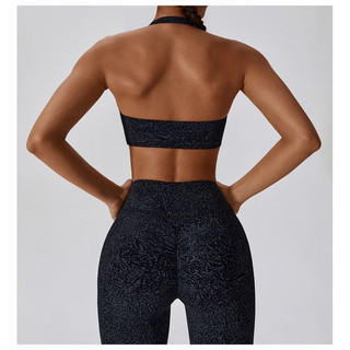 Bộ đồ tập thể thao gym,yoga nữ thiêt kế ngựa vằn cao cấp (mã lb256)