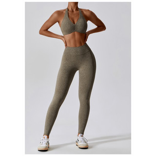 Bộ đồ tập thể thao gym,yoga nữ thiêt kế ngựa vằn cao cấp (mã lb256)