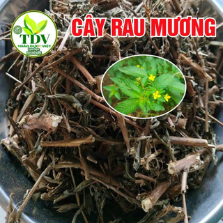 Cây Rau Mương khô 1kg hàng chuẩn xịn của công ty Thảo Dược Việt