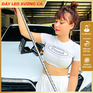 Dây LED Xương Cá xi nhan, demi, phanh, hazard gắn đuôi xe hơi xe tải điện 12v và 24v dùng chung