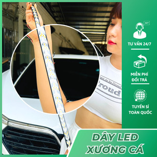 Dây LED Xương Cá xi nhan, demi, phanh, hazard gắn đuôi xe hơi xe tải điện 12v và 24v dùng chung