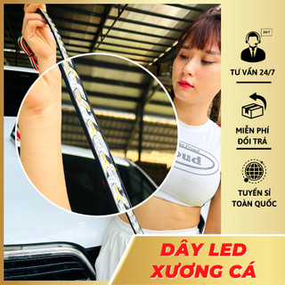 Dây LED Xương Cá xi nhan, demi, phanh, hazard gắn đuôi xe hơi xe tải điện 12v và 24v dùng chung