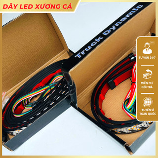 Dây LED Xương Cá xi nhan, demi, phanh, hazard gắn đuôi xe hơi xe tải điện 12v và 24v dùng chung
