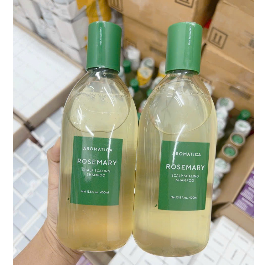 Scalp Scaling Shampoo, Rosemary, 13.5 fl oz (400 ml), Aromatica 