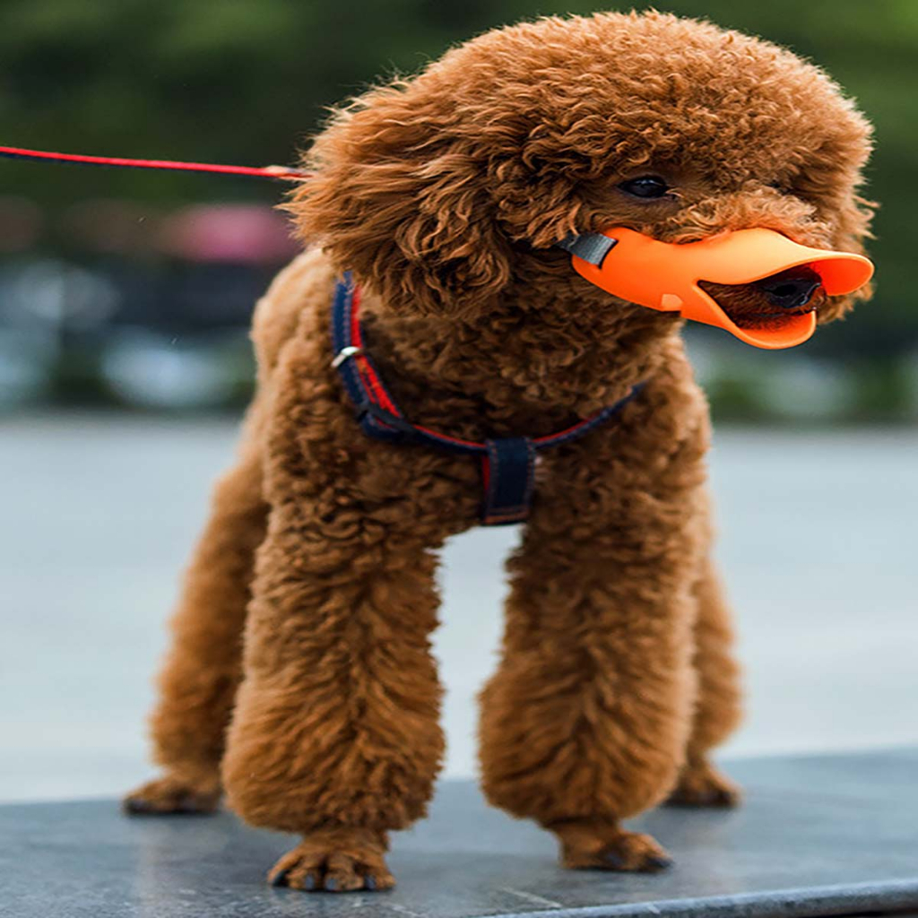 Rọ Mõm Mỏ Vịt Cho Chó Con Lớn Nhỏ Mèo Pitbull Pug Poodle Becgie Ngắn Silicon Nghiệp Vụ 15 Đến 20kg Chống Sủa Cắn Liếm