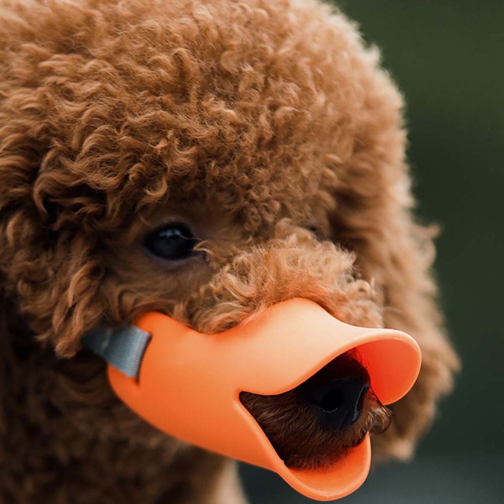 Rọ Mõm Mỏ Vịt Cho Chó Con Lớn Nhỏ Mèo Pitbull Pug Poodle Becgie Ngắn Silicon Nghiệp Vụ 15 Đến 20kg Chống Sủa Cắn Liếm