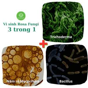 Viên Nấm Rễ Cộng Sinh MATRIX MYCO TÂY BAN NHA - Chứa vi sinh có lợi & dinh dưỡng toàn diện cho cây