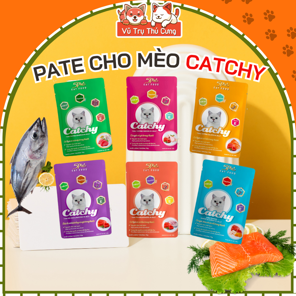 Pate Catchy 5Plus cho mèo dạng gói 70g