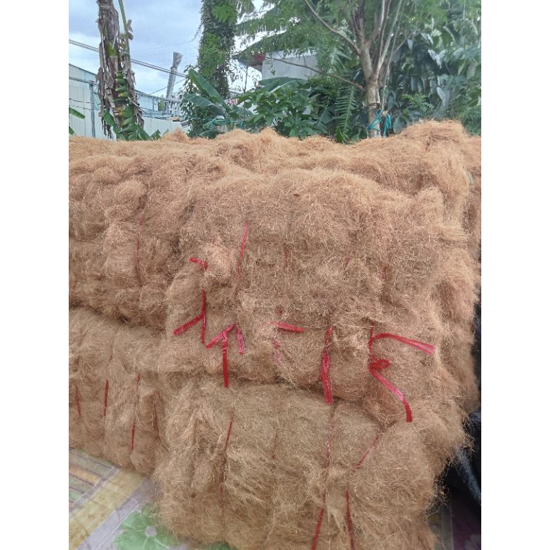 1kg chỉ sơ dừa che phủ chậu cây ,rau ,hoa...thay rơm | Shopee Việt Nam