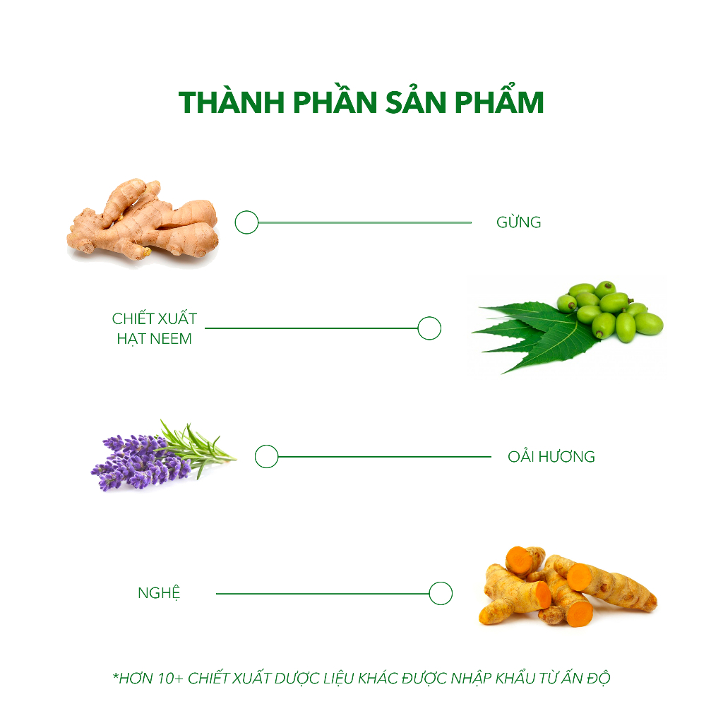 Ảnh Combo 02 Dầu Gội Sạch Gàu Antisol & 01 Dermato 200 | Thương Hiệu iCare Pharma | Sạch Gàu Giảm Rụng 4