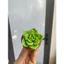 Chậu sen đá mini làm bằng đất sét đường kính 5cm