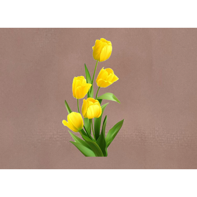 Sticker logo HÌNH HOA  ỦI QUẦN  ÁO ĐẸP.CHẤT LƯỢNG .MẦU SẮC ẤN TƯỢNG- Hàng thiết kế .IN ỦI TRỰC TIẾP BẰNG BÀN LÀ.BÀN ỦI