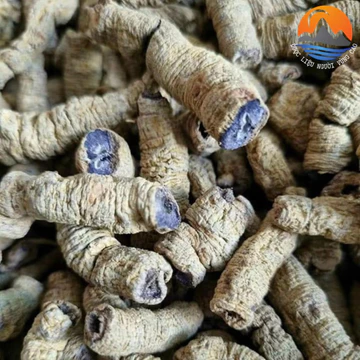 Ba kích tím rừng, khô Quảng Ninh loại to size đại 1kg, rút lõi ngâm rượu sấy khô từ rễ, củ ba kích tươi
